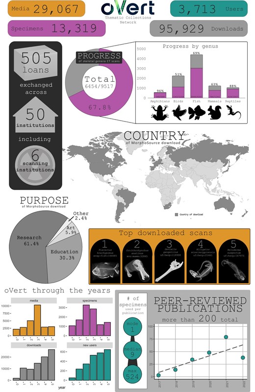 Infographic summarizing key aspects of data generation and use during the oVert Project. The data on downloads and users of media are based on data files generated by MorphoSource for media files hosted in that repository for the oVert project and associated PENs (as of 1 November 2023); we cleaned these data to remove downloads and users that appear to be nonhuman automated requests “bots”. Publication data are based on curated information from Google Scholar. The top downloaded data set of the fish Piaractus (ANSP: Fish:166685, https://doi.org/10.17602/M2/M27533) was suggested as a reference data set for users of 3D Slicer by Buser and colleagues (2020).