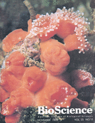 Commentary: Knowing, Communicating, and Scientific Rhetoric ...