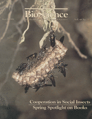 BioScience Cover Image for Volume 48, Issue 3