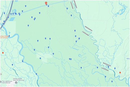 Distribution of eBird reports of pileated woodpeckers in a region of the Pearl River swamp that is well to the north of Interstate Highway 10. Image: Courtesy of the Macaulay Library and eBird.