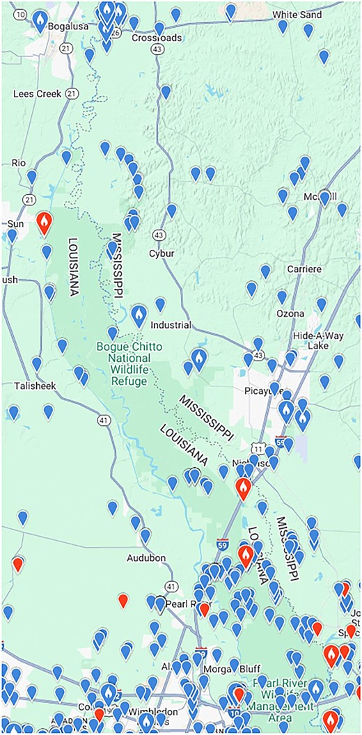 Distribution of eBird reports of pileated woodpeckers in a wider region of the Pearl River swamp. Image: Courtesy of the Macaulay Library and eBird.
