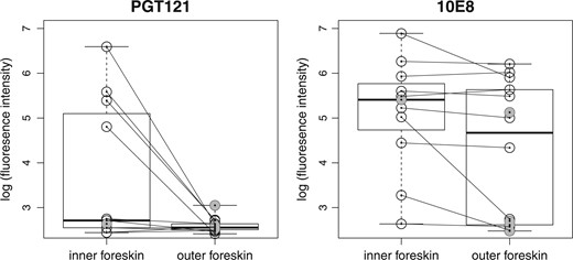 Boxplots of explant infectivity data. Paired observations between inner and outer foreskin samples are connected with lines. Unpaired observations are represented by shaded circles.