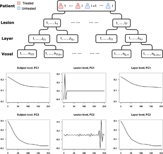 Top: display of the hierarchical structure of the data. Bottom: the first two principal components for subject-, lesion-, and layer-levels estimated by the SFPCA model.