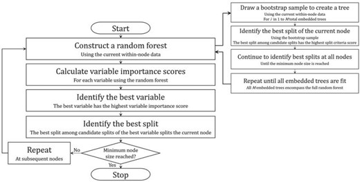Overview of DIPM method classification tree algorithm. A flowchart outlining the general steps of the proposed method’s algorithm is depicted in the figure above.