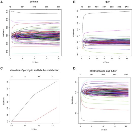 snpnet-Cox paths. Each line in these plots corresponds to a variable from the best model. The vertical axis represents the $L^1$ norm of the estimated coefficients and the horizontal axis represents the value of the coefficients. The path is computed at various level of regularization parameter. The whiskers at the top of the plot are the number of variables selected. The first 12 variables are the covariates including age, sex, PC1-10.