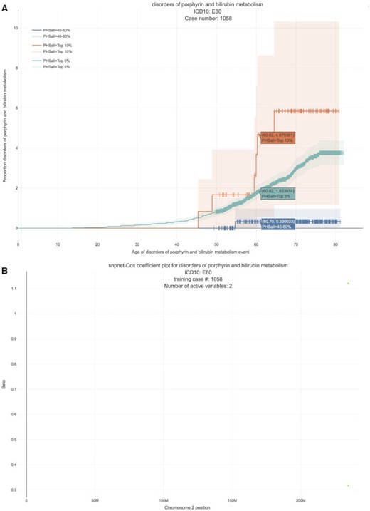 Disorders of porphyrin and bilirubin metabolism. (A) The Kaplan–Meier curves for percentiles of PHS for variants selected by snpnet-Cox, in the held out test set (orange: top $1\%$, green: top $5\%$, red: top $10\%$, blue: 40–60$\%$, and brown: bottom 10$\%$; ticks represent censored observations. Highlighted are the proportion of disorders of porphyrin and bilirubin metabolism events by age 60 across the percentile scores. (B) Plot of snpnet-Cox coefficients for disorders of porphyrin and bilirubin metabolism with $2$ active variables. Green dots represent protein-altering variants.