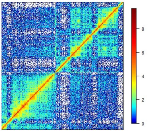 Log-transformed contact matrix $\log(C)$. White color corresponds to $C_{ij} = 0$ or, equivalently, $\log(C_{ij}) = -\infty$.