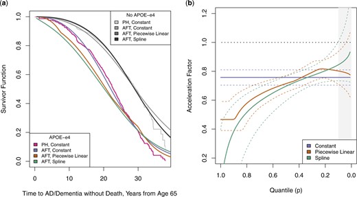 Under a Weibull-centered TBP prior baseline specification: (a) regression standardized survivor function estimates for onset of AD or dementia without death, averaged over other covariates. Regression standardized estimate from Cox proportional hazards model shown for comparison; (b) regression standardized quantile-varying acceleration factor estimates for onset of AD or dementia without death, averaged over other covariates. 95$\%$ credible intervals represented with dashed lines. Grey shaded region represents area of parametric extrapolation beyond quantiles observed in both groups.