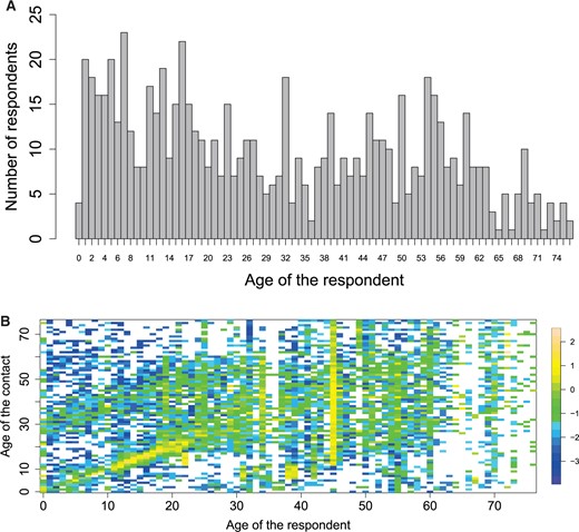 The number of respondent per age (A) and the observed log-contact rates ($\log(y_{ij}/r_{i})$) (B) of the Belgian social contact data. A white cell indicates that there were no contacts observed for those particular ages of the respondents and contacts.