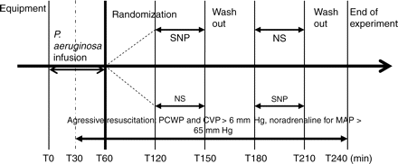 Experimental protocol. Each animal received in a random succession, equal volumes of either SNP (5 µg kg−1 min−1) or NS for 30 min.