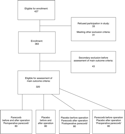 Flow of patients through the trial.