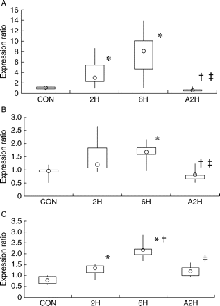 Effects of sevoflurane anaesthesia on expression of vasoactive factors in rat lungs. Rats were anaesthetized with sevoflurane 4% for 0 h (CON), 2 h (2H), and 6 h (6H) (n=9 each group) before death. A2H were anaesthetized for 6 h, and then awoken for 2 h before death (n=9 each group). Expression ratios of ET-1 (a), NOS3 (b), and ADM (c) are plotted. Data are presented as box and whisker plots. The inter-quartile range is a measure of spread or dispersion. The box denotes the first quartile and the third quartile and is the difference between them. The range is a measure of dispersion and represents the difference between the lowest and highest scores in the data set. The whiskers are the two lines outside the box that extend to the highest and lowest data scores. The median is symbolized by a circle. *P<0.05 vs corresponding CON; †P<0.05 vs corresponding 2H; ‡P<0.05 vs corresponding 6H.