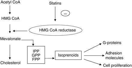 Mechanisms of hypolipidaemic effects by statins.