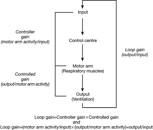 patient ventilator interaction bja british journal of anaesthesia