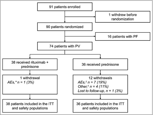 Patient disposition. AE, adverse event; ITT, intention‐to‐treat; PF, pemphigus foliaceus; PV, pemphigus vulgaris.