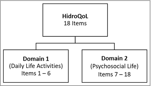 Composition of the Hyperhidrosis Quality of Life Index (HidroQoL).