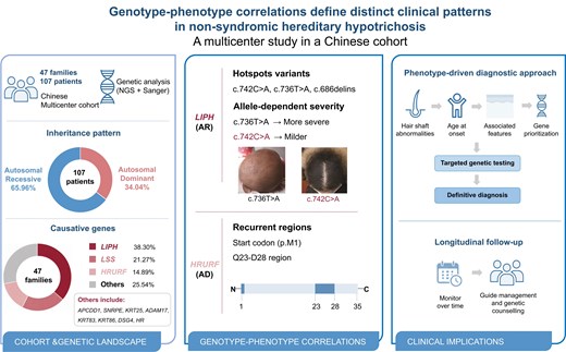 Distinct genotype-phenotype patterns in non-syndromic hereditary hypotrichosis: a multicenter Chinese cohort