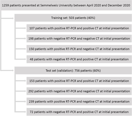 Flowchart of this study. RT-PCR, reverse-transcription polymerase chain reaction.
