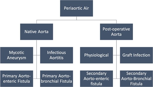 Aetiology of periaortic air.
