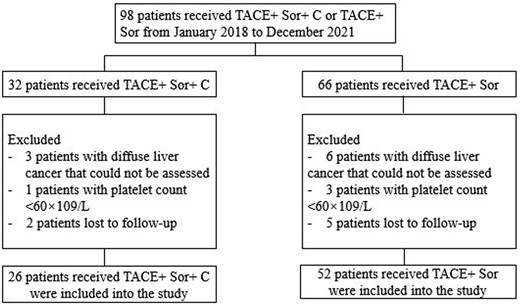 The flowchart of patient selection. Abbreviations: TACE + Sor = transcatheter arterial chemoembolization with sorafenib; TACE + Sor + C = transcatheter arterial chemoembolization with sorafenib plus camrelizumab.