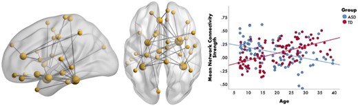 Age-related differences in gamma connectivity. Brain network (left-side) representing the significant group-by-age interaction to emotional faces in the gamma-band (30-55 Hz). The scatterplot (right-side) shows that connectivity strength within this gamma network increases with age in the TD group (in red) and decreases with age in the ASD group (in blue). From Safar K, Vandewouw MM, Taylor MJ. Atypical development of emotional face processing networks in autism spectrum disorder from childhood through to adulthood. Dev Cogn Neurosci. 2021;51:101003. License: CC BY-NC-ND 4.0.