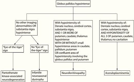Simplified approach to microcytic anemia+high ferritin.6