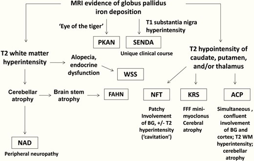Neuroimaging features distinguishing subtypes of neurodegeneration.