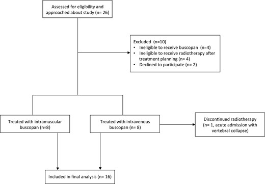 Flow diagram showing numbers of participants approached for the study, numbers of patients excluded/recruited and numbers of patients who completed the study.