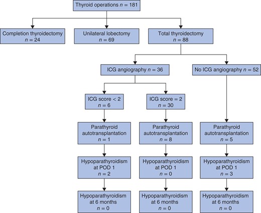 Flow chart for the study of intraoperative parathyroid angiography with the fluorescent dye indocyanine green (ICG); an ICG score of 2 indicates a well vascularized parathyroid gland whereas a score of less than 2 indicates no perfectly well vascularized parathyroid gland (see text for details). Hypoparathyroidism was defined by a parathyroid hormone level below 1·1 pmol/l. POD, postoperative day