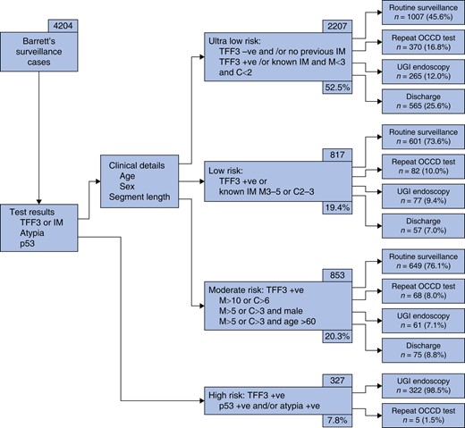 Patient workflow and clinical management within the Barrett's surveillance cohort, categorized by risk group (n = 4204)
