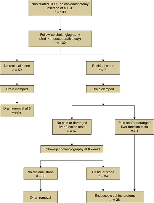 Long-term expectant management of common bile duct stones in non-dilated common bile duct