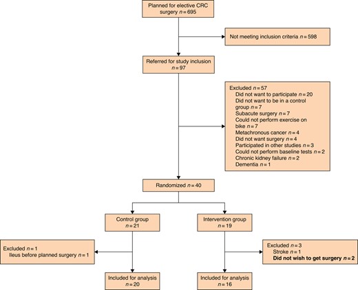CONSORT diagram describing the inclusion and exclusion process