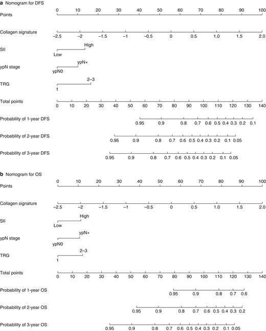 Nomograms for the prediction of DFS and OS.
