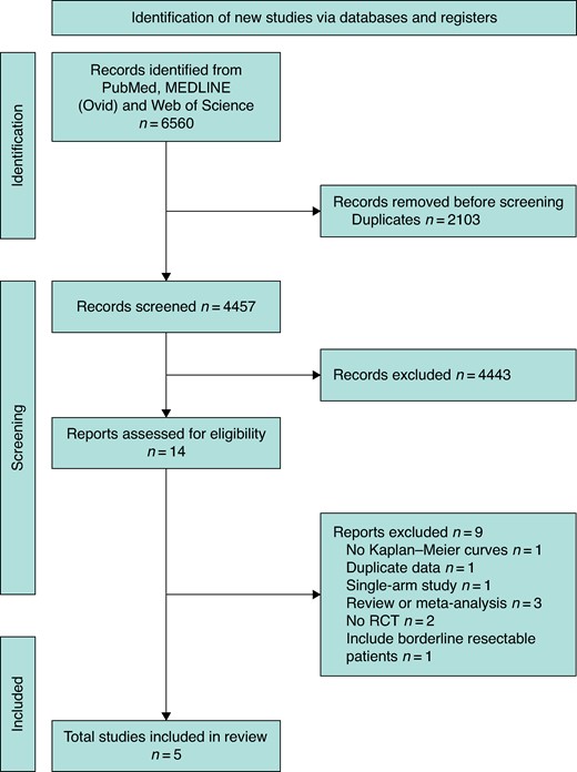 PRISMA flow chart according to guidelines