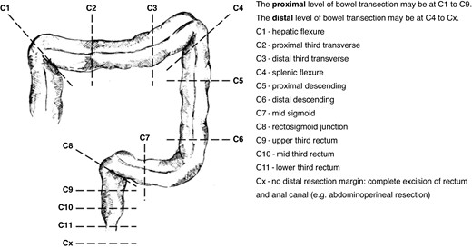Definitions for height of resection margins (C1 through Cx)