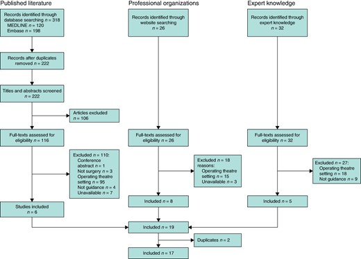 PRISMA diagram of papers included for scoping review