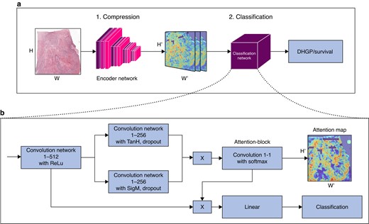 Neural image compression pipeline (A) with a supervised multitask learning encoder framework and convolutional neural networks classifier (B) Neural image compression with attention pipeline. First the slide is compressed, then classified. The classification architecture consists of four 1 × 1 convolutional layers and a final linear layer starting with a 1 × 1 convolution reducing the input channels from 2048 to 512 (conv1-512). H and W stand for height and width of the image respectively. H' and W' are the height and width of the compressed images respectively with H' << than H and W' << than W.