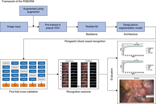 Overview of model development and verification