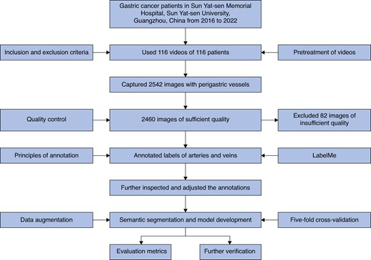 Study flow chart