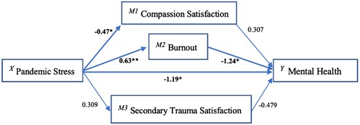 Aspects of professional quality of life as mediators in the relationship between pandemic-related anxiety and care workers’ mental health.