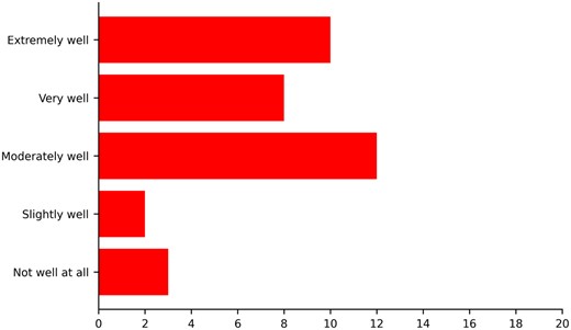 Extent to which people with lived experience were meaningfully involved.