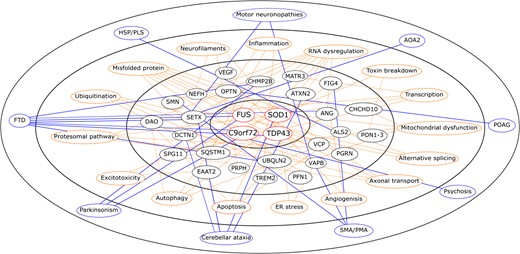 An illustration of the complexity of ALS pathogenesis. The inner circle includes the associated genes with highest frequency (C9orf72, SOD1, TDP-43/TARDBP and FUS). The second-order ring includes the large number of genes with a lower frequency of association. The third-order ring includes the possible pathogenic mechanisms that are hypothesized to be associated with these genes. The outer ring includes the other diseases that may be associated with these genes. The complex relationship between genes associated with neurodegeneration, mechanisms of neurodegeneration, and clinical disease phenotypes is apparent. Red = major genes; Black = minor genes; Orange = disease mechanisms; Blue = associated diseases. Mechanistic connections are illustrated by orange lines, and disease associations by blue lines.