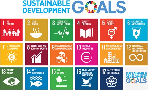 UN Graphical Illustration of the 17 SDGs.