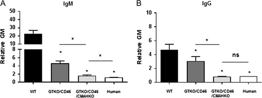 Human IgM and IgG antibody binding to wild-type (WT), GTKO/hCD46, and GTKO/hCD46/NeuGc-KO pig and human AECs by flow cytometry. Binding to GTKO/hCD46/NeuGc-KO pig cells is almost as low as to human AECs.