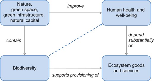 https://academic.oup.com/bmb/article/127/1/5/5051732 social preview image