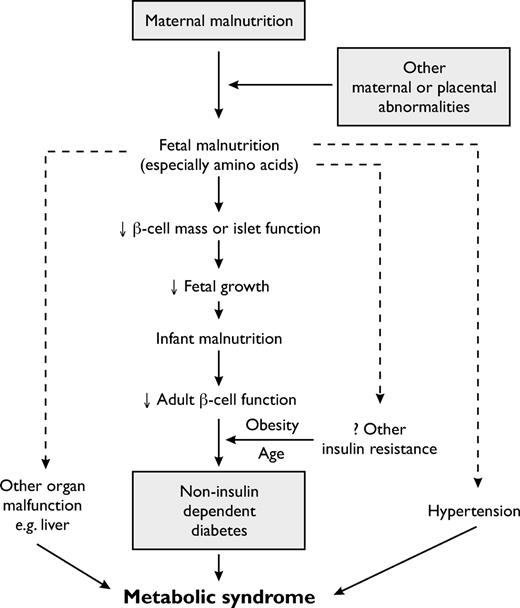 The original diagrammatic representation of the thrifty phenotype hypothesis.