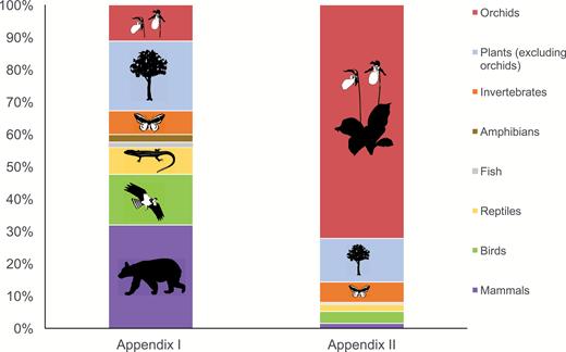 Taxonomic breakdown of CITES Appendices I and II, showing the large proportion of orchids in the total number of species listed by the Convention. Adapted from original in Hinsley (2016) using updated data from UNEP-WCMC (2015). Vector images courtesy of the Integration and Application Network, University of Maryland Center for Environmental Science (ian.umces.edu/symbols/).