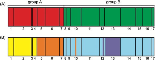 Population genetic structure as inferred through BAPS analysis for A. fasciculata. A, Plastid DNA and B, ITS. Colours indicate groups and populations are numbered: populations 1 to 7 correspond to the A group as observed based on evolutionary relationships of haplotypes and sequence types, respectively, and populations 8 to 17 belong to the B cluster.
