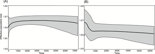 A, B, Population size dynamics over time as investigated using extended Bayesian skyline plots for A. fasciculata genetic group A (A) and genetic group B (B), respectively. Solid areas correspond to confidence intervals.