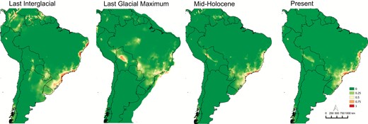 Environmental niche modelling to the past and present A. fasciculata geographical distribution.